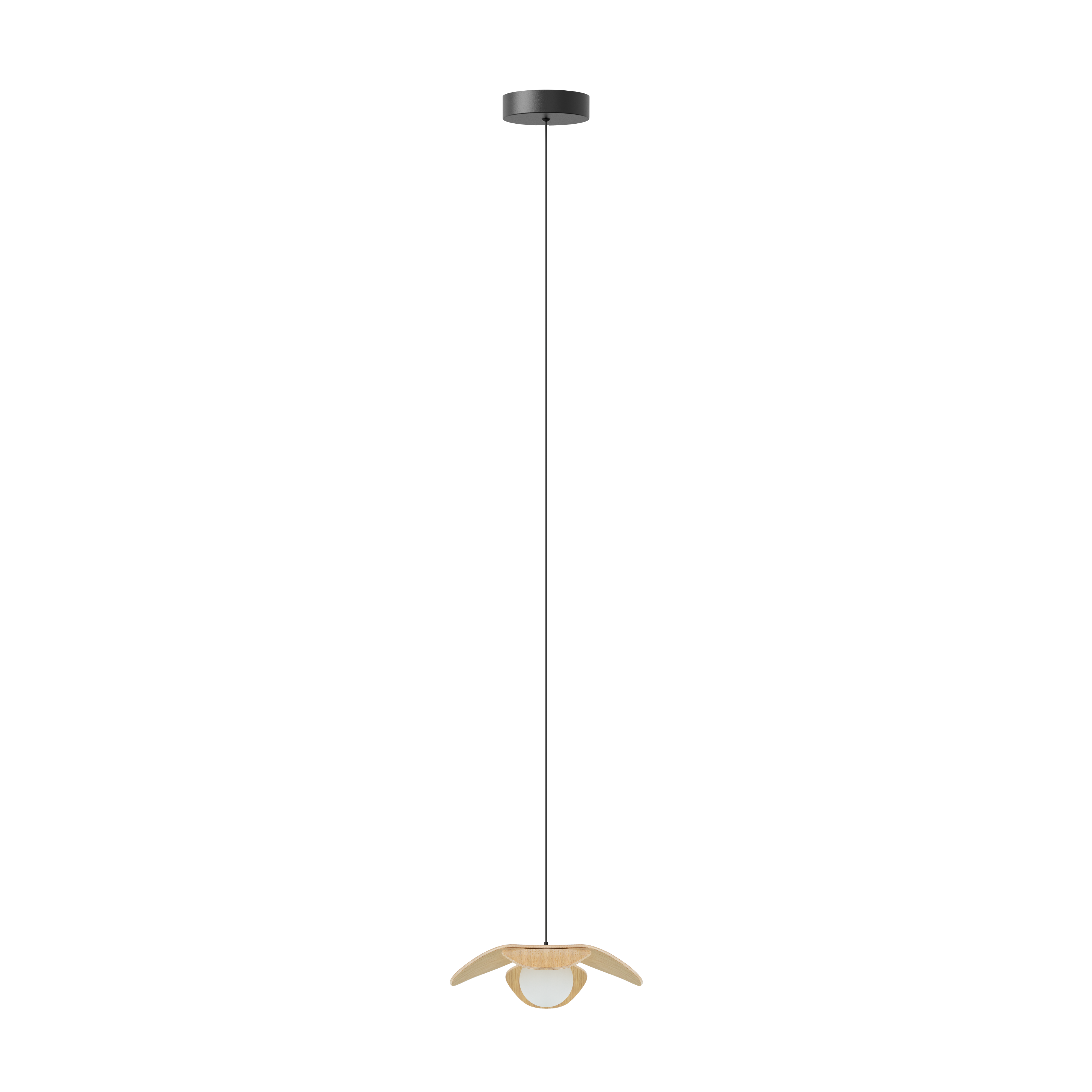 Forget Me Not pendel med roset, egetræ • UMAGE