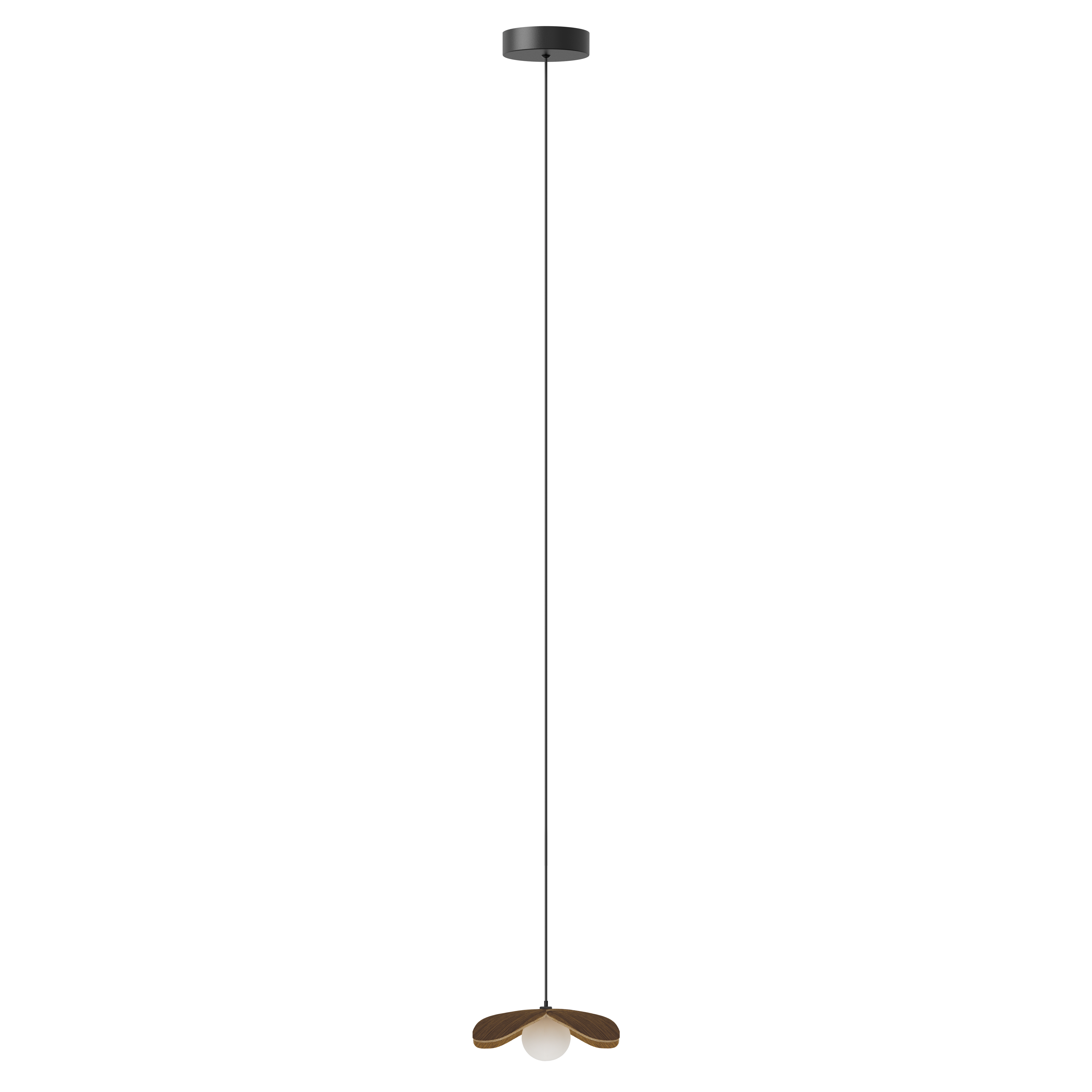 Forget Me Not pendel med roset, mørk egetræ • UMAGE