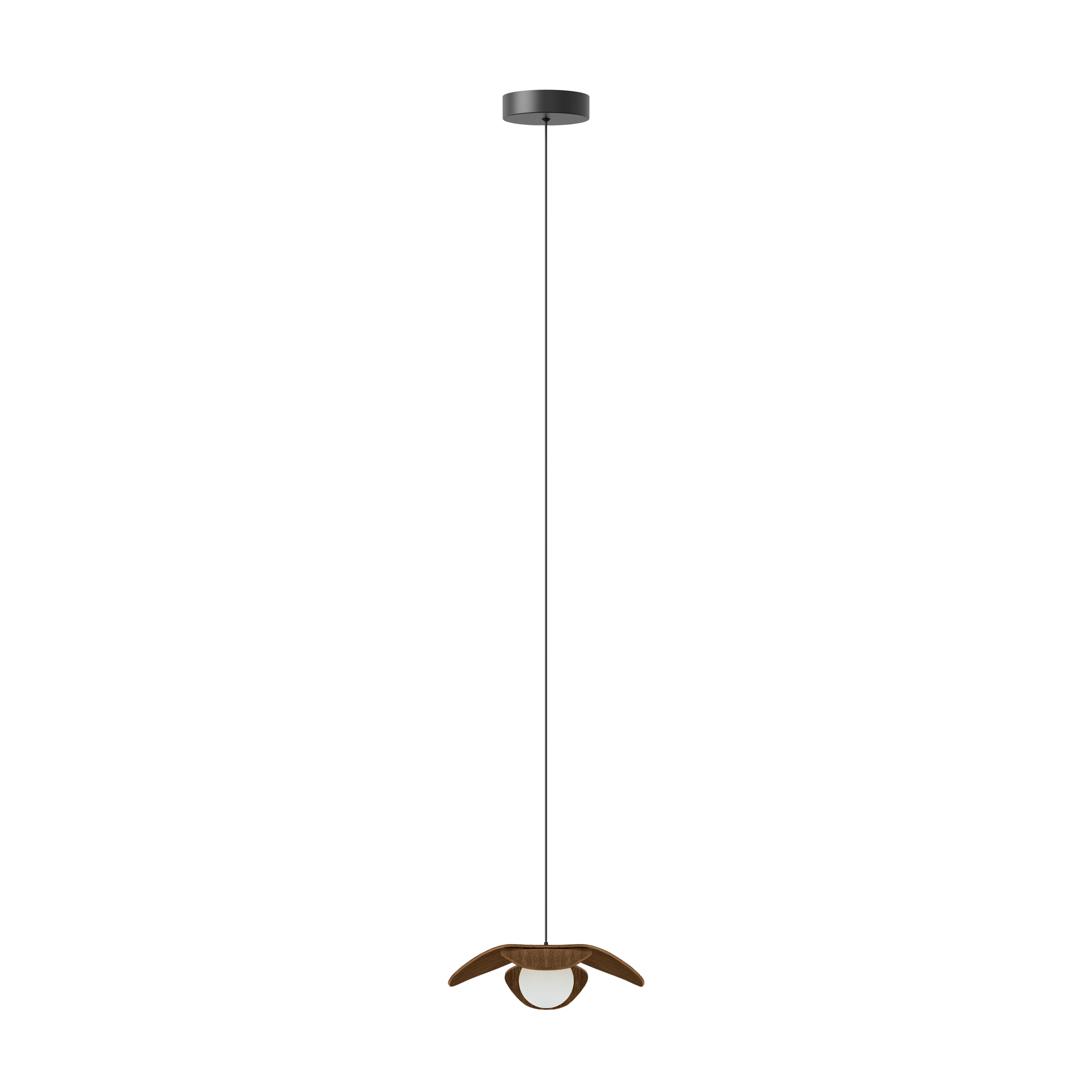 Forget Me Not pendel med roset, mørk egetræ • UMAGE