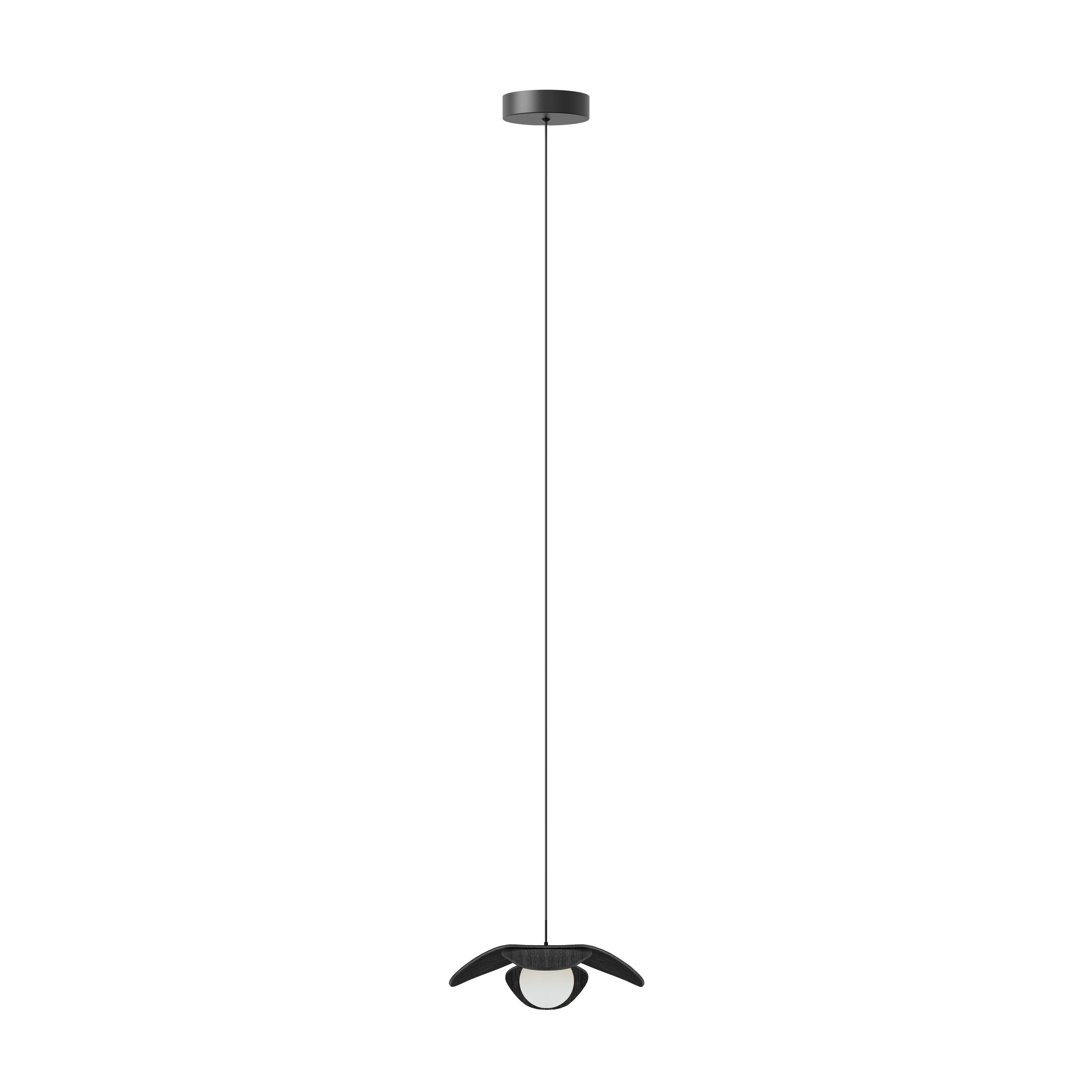 Forget Me Not pendel med roset, sort egetræ • UMAGE