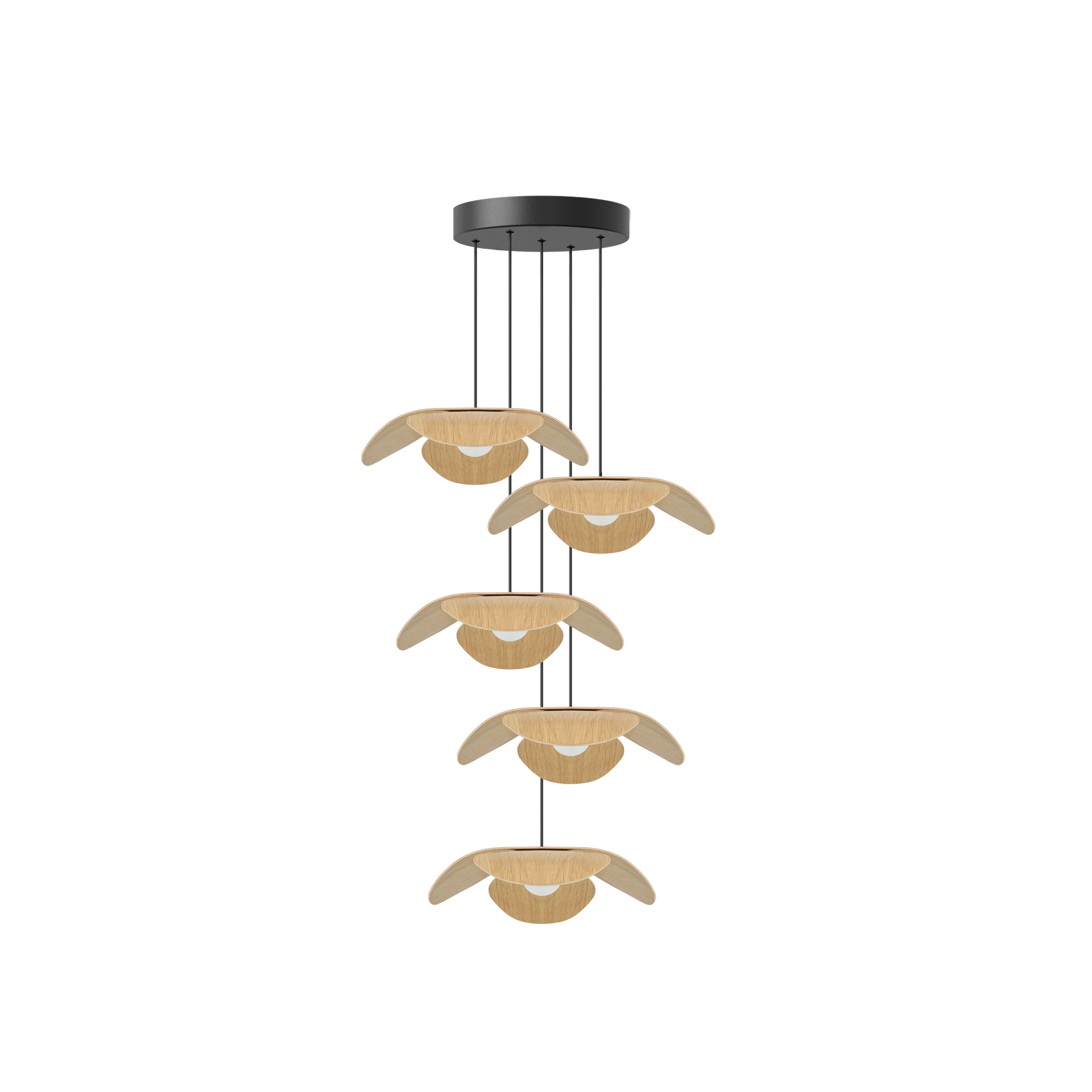 Forget Me Not Cluster 5 pendel med roset, egetræ • UMAGE