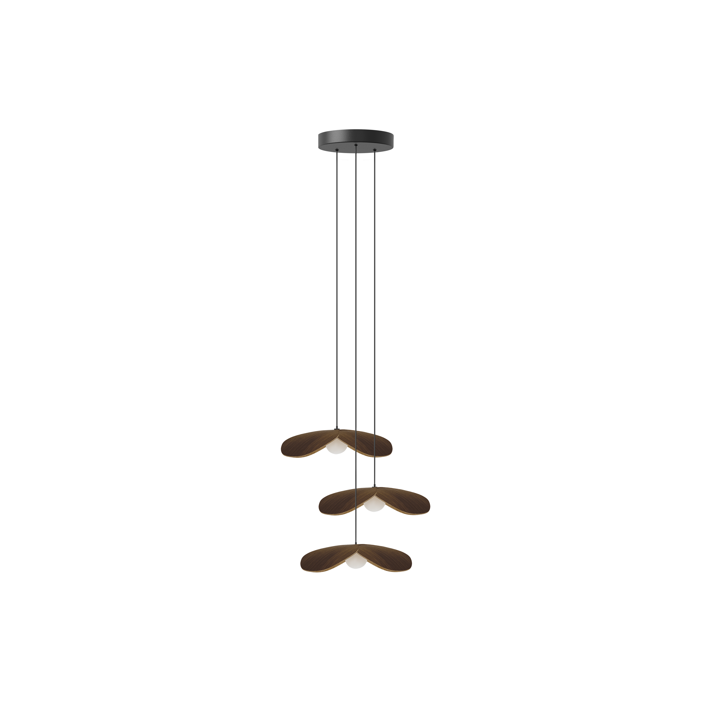 Forget Me Not Cluster 3 pendel med roset, mørk egetræ • UMAGE