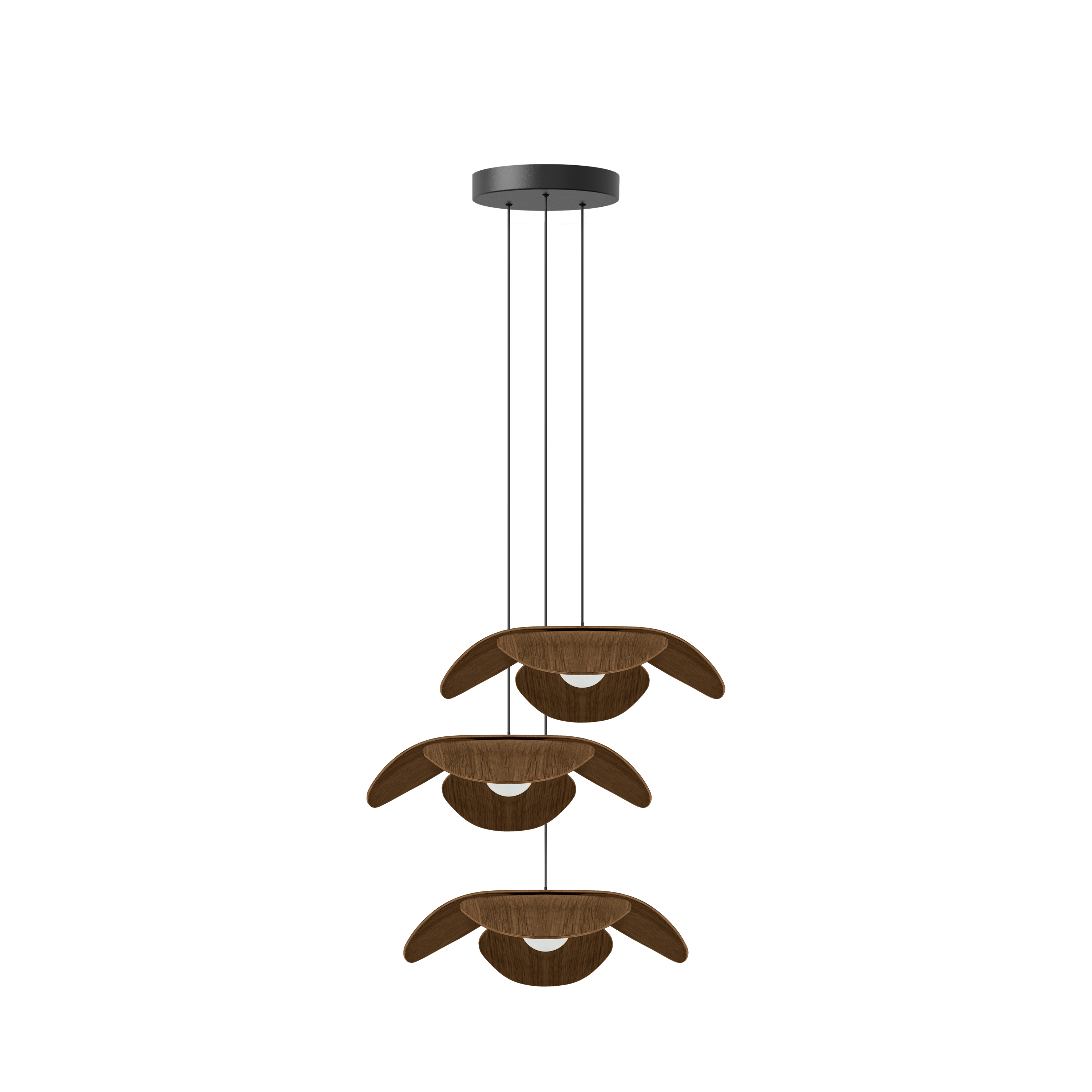 Forget Me Not Cluster 3 pendel med roset, mørk egetræ • UMAGE