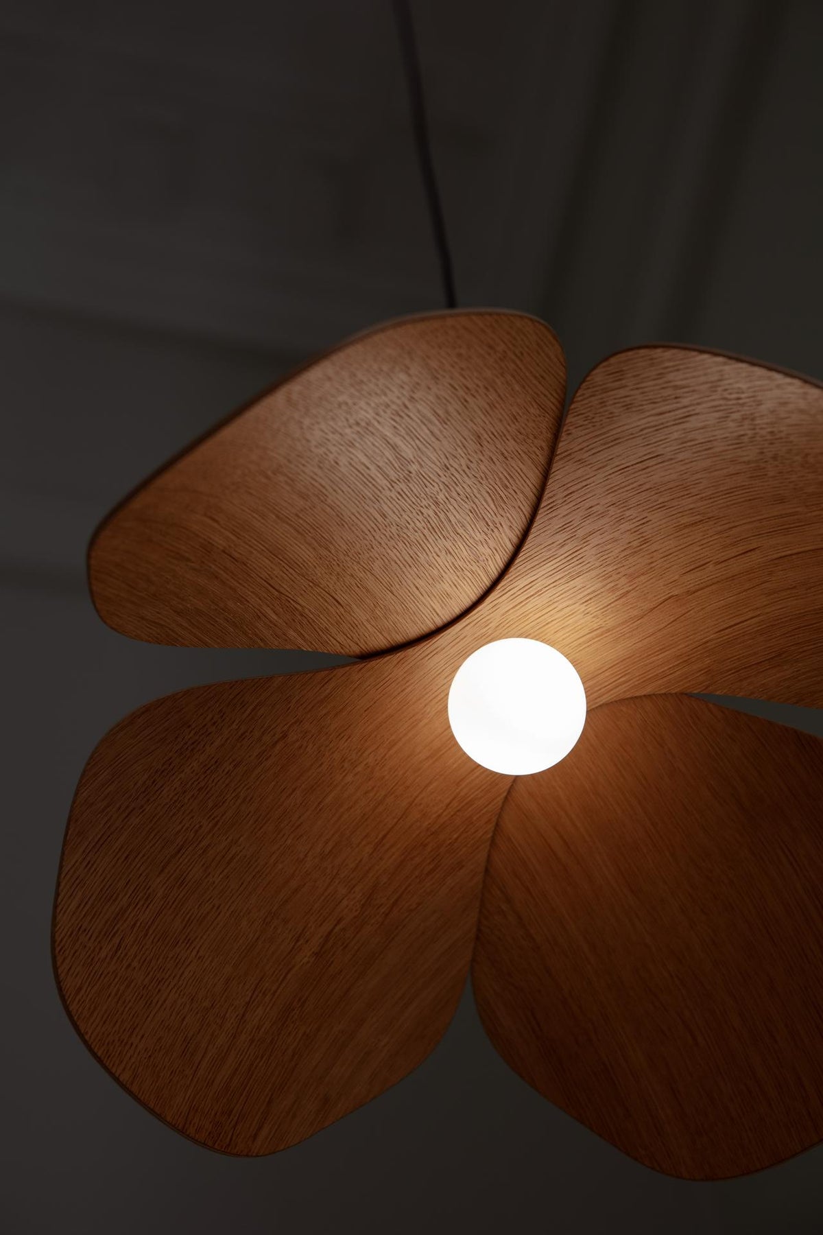 Forget Me Not pendel med roset, mørk egetræ • UMAGE - Copenhagenhomedesign