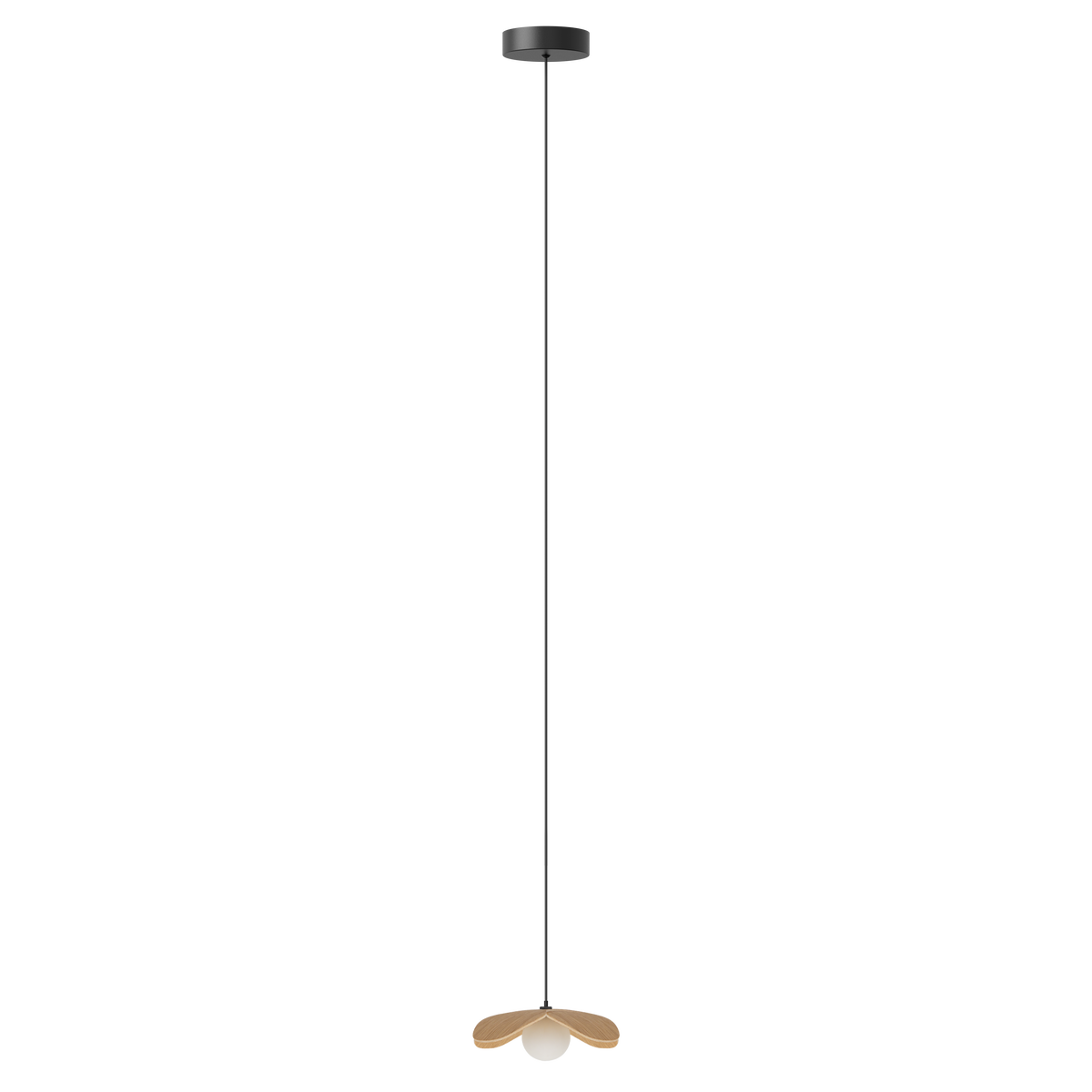 Forget Me Not pendel med roset, egetræ • UMAGE - Copenhagenhomedesign