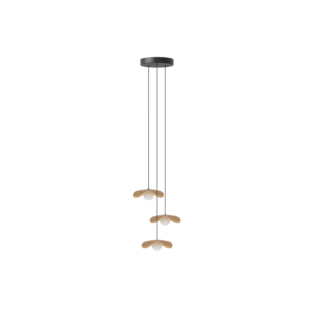 Forget Me Not Cluster 3 pendel med roset, egetræ • UMAGE - Copenhagenhomedesign
