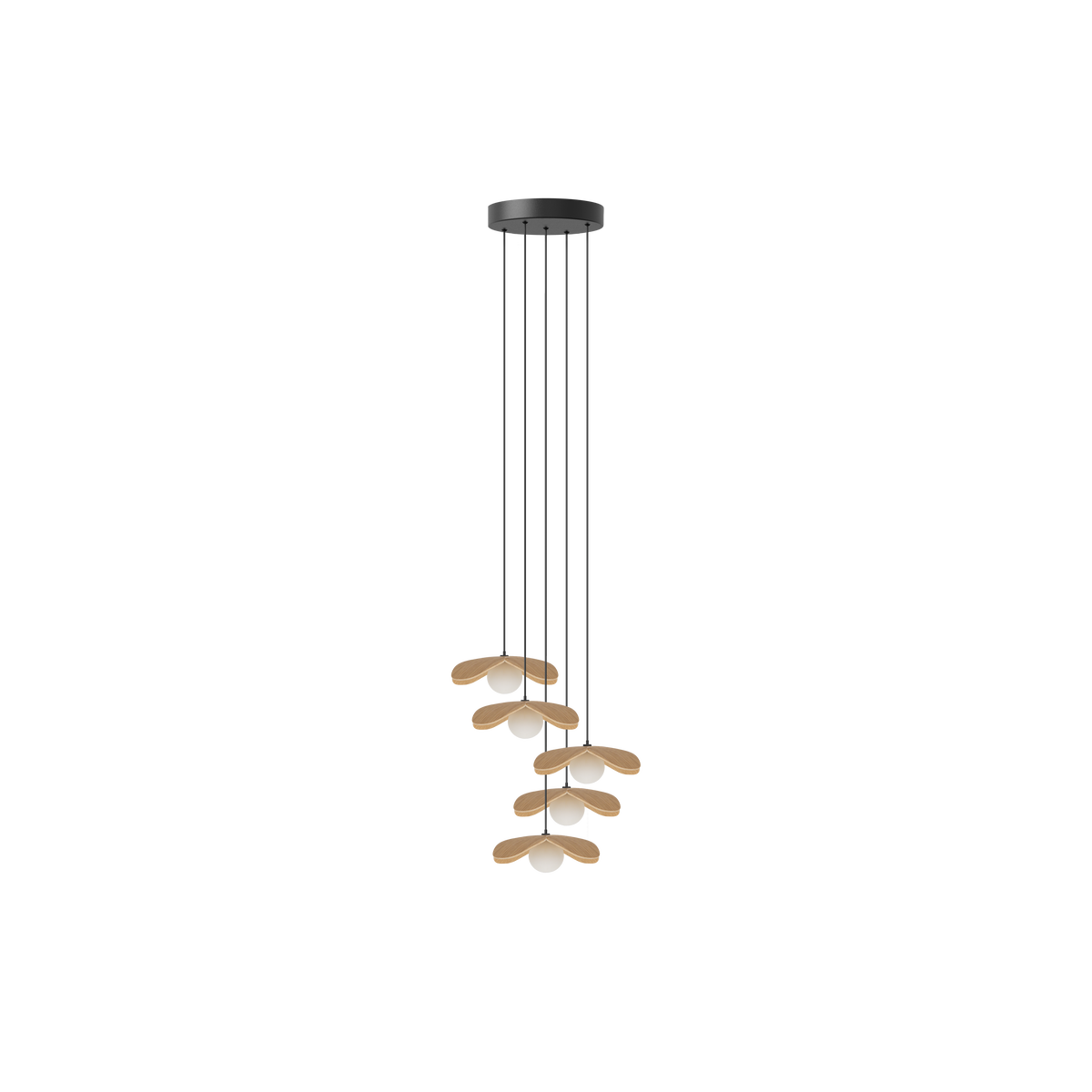 Forget Me Not Cluster 5 pendel med roset, egetræ • UMAGE - Copenhagenhomedesign