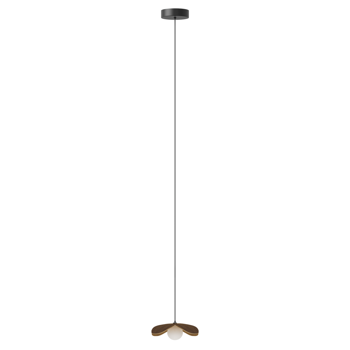 Forget Me Not pendel med roset, mørk egetræ • UMAGE - Copenhagenhomedesign