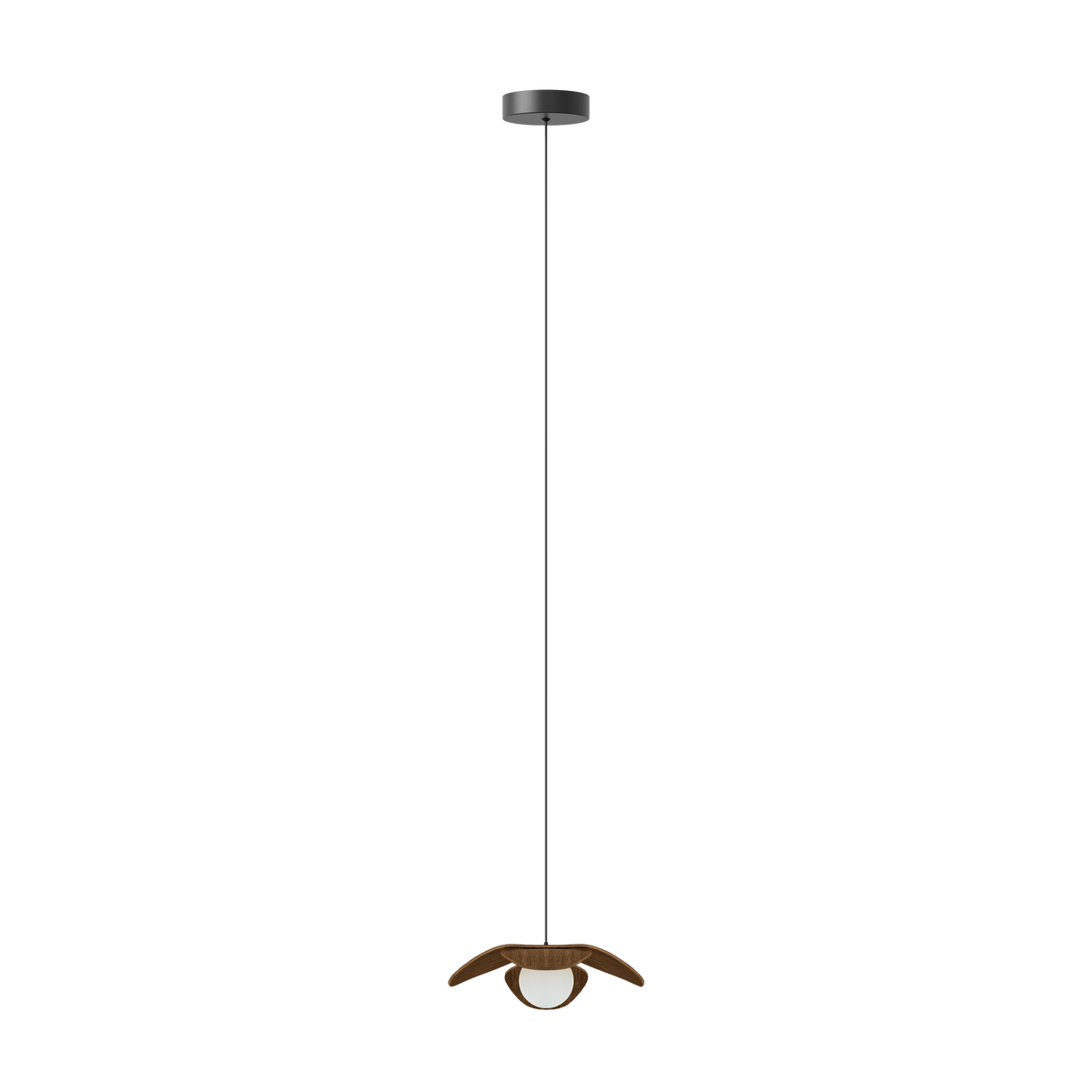 Forget Me Not pendel med roset, mørk egetræ • UMAGE - Copenhagenhomedesign