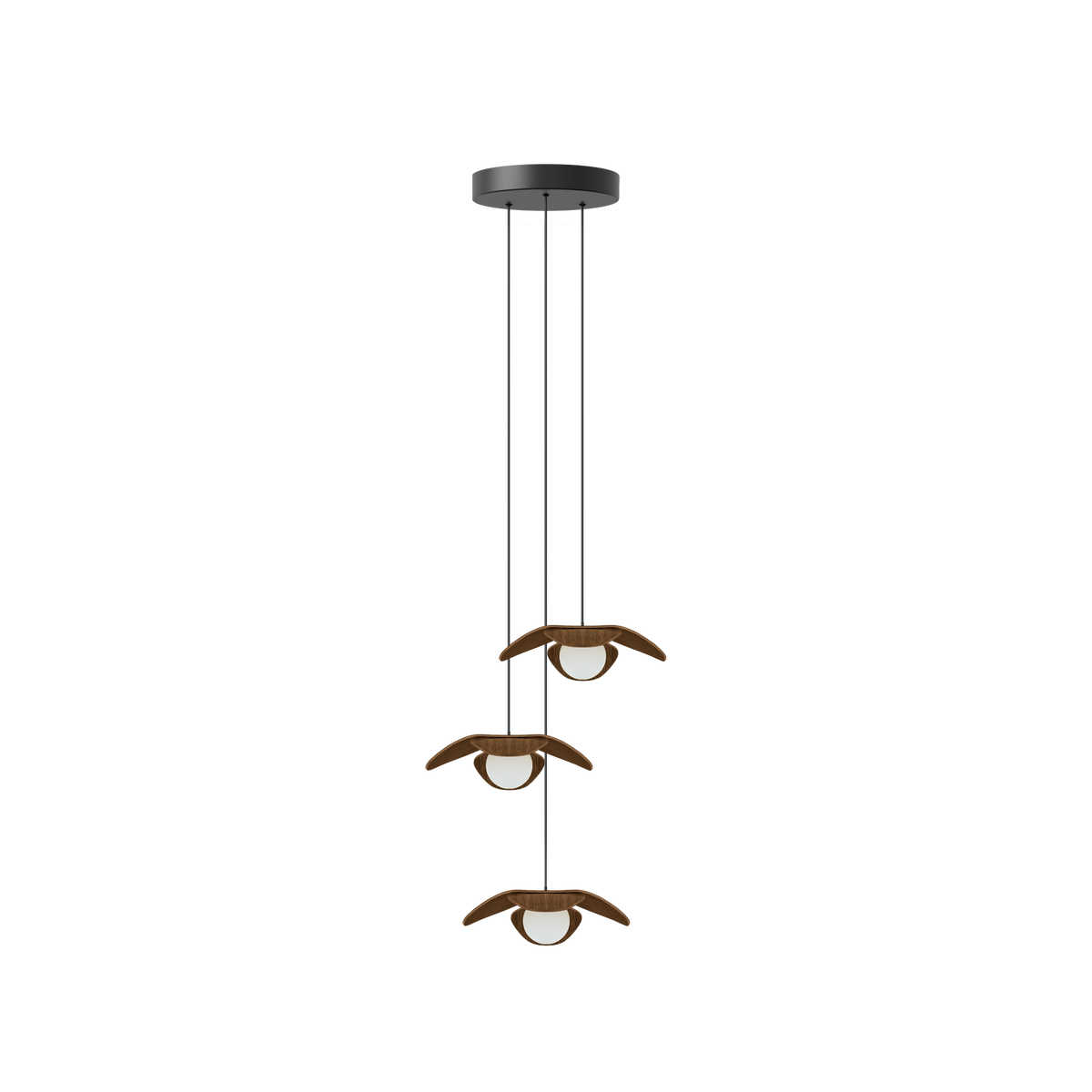 Forget Me Not Cluster 3 pendel med roset, mørk egetræ • UMAGE - Copenhagenhomedesign