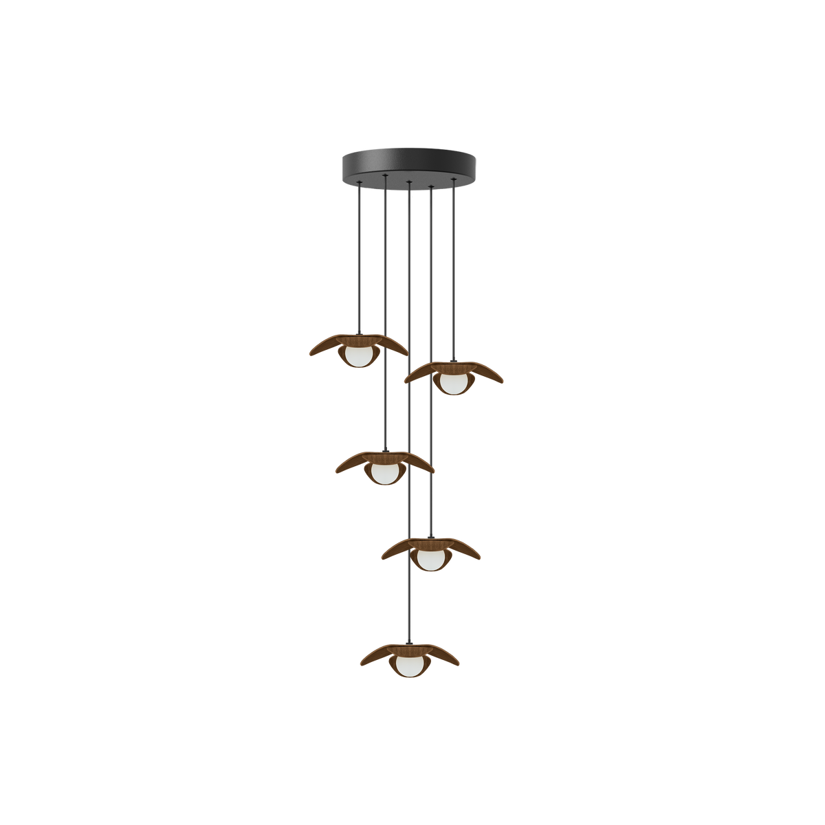 Forget Me Not Cluster 5 pendel med roset, mørk egetræ • UMAGE - Copenhagenhomedesign