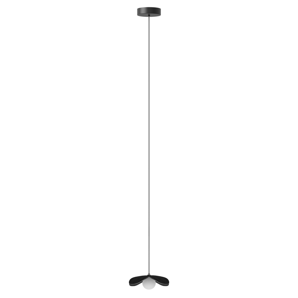 Forget Me Not pendel med roset, sort egetræ • UMAGE - Copenhagenhomedesign