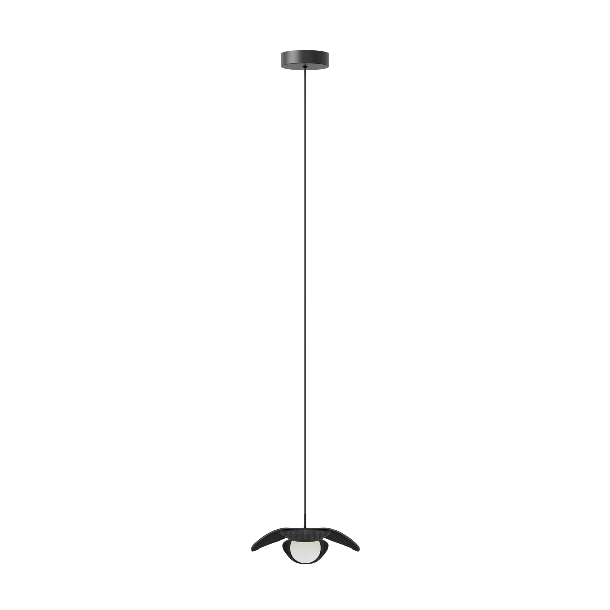 Forget Me Not pendel med roset, sort egetræ • UMAGE - Copenhagenhomedesign