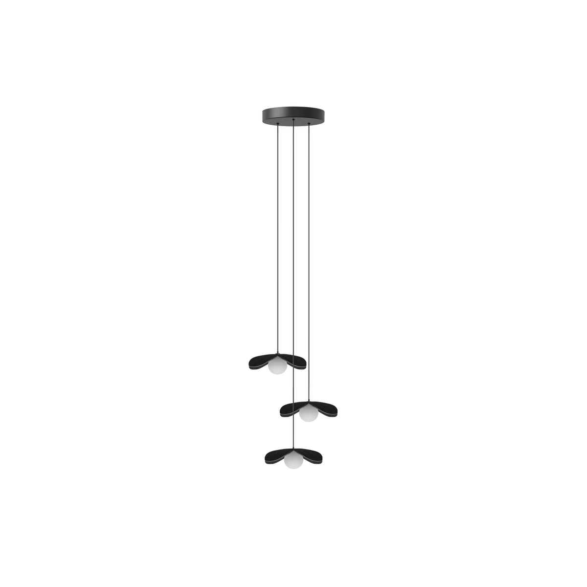 Forget Me Not Cluster 3 pendel med roset, sort egetræ • UMAGE - Copenhagenhomedesign