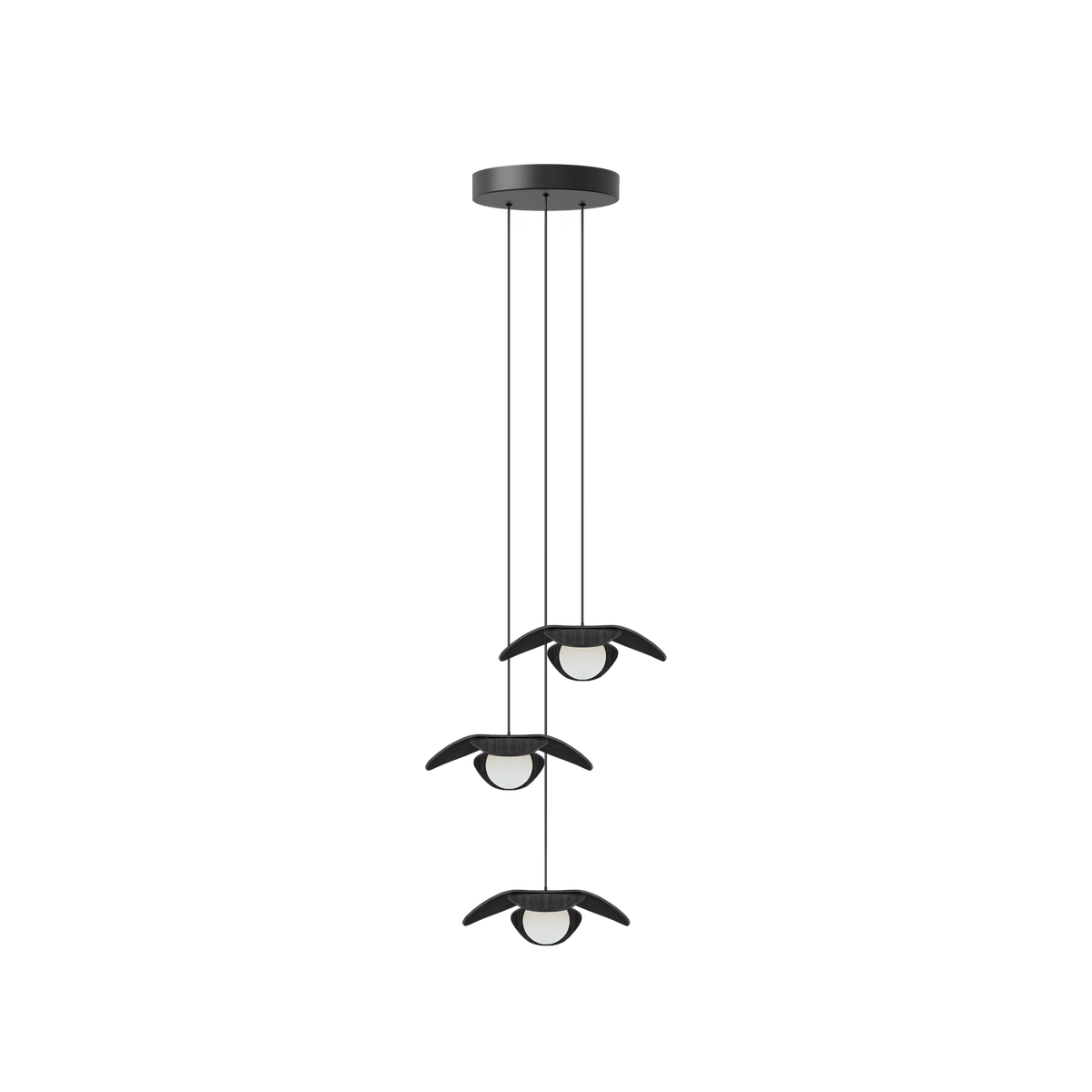 Forget Me Not Cluster 3 pendel med roset, sort egetræ • UMAGE - Copenhagenhomedesign
