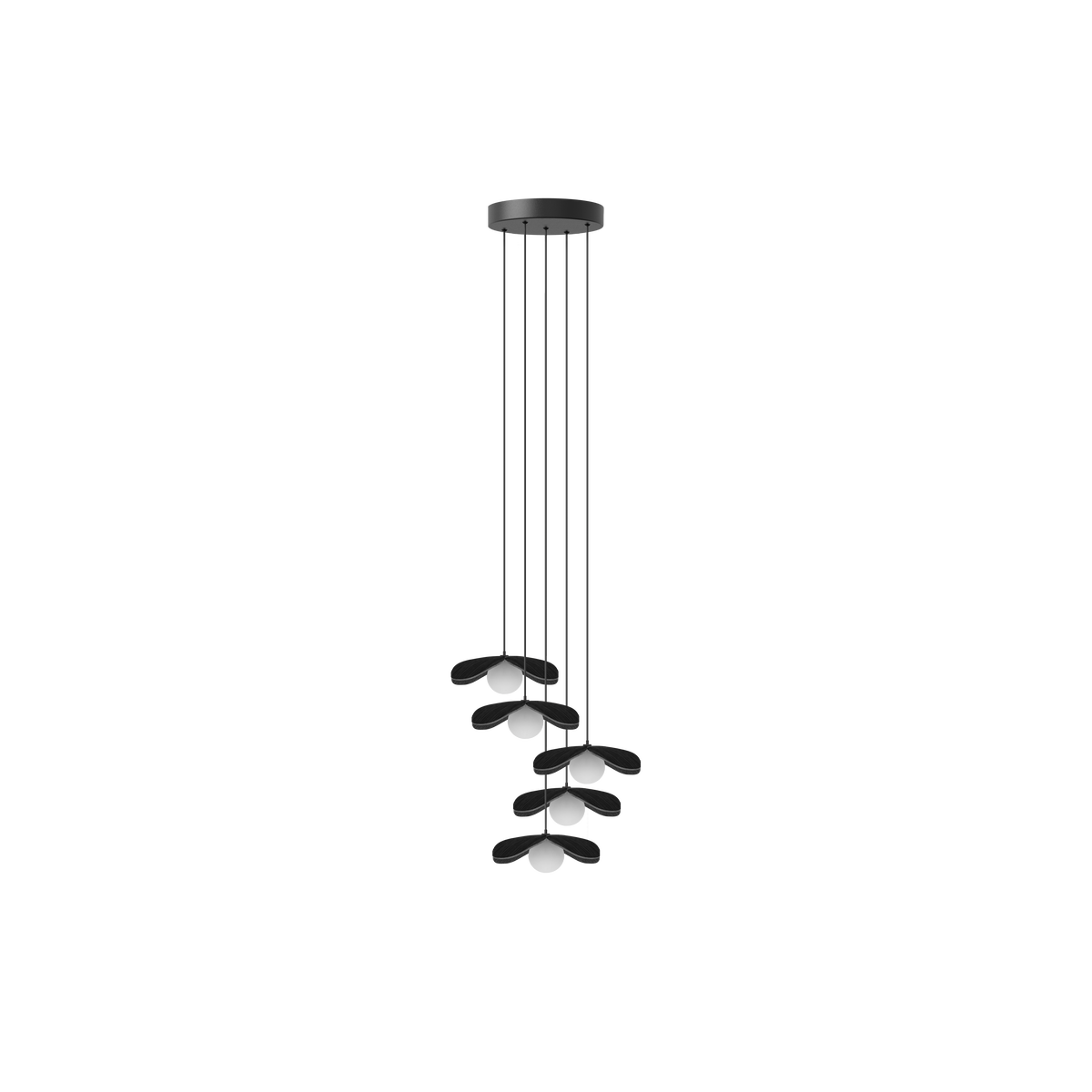 Forget Me Not Cluster 5 pendel med roset, sort egetræ • UMAGE - Copenhagenhomedesign
