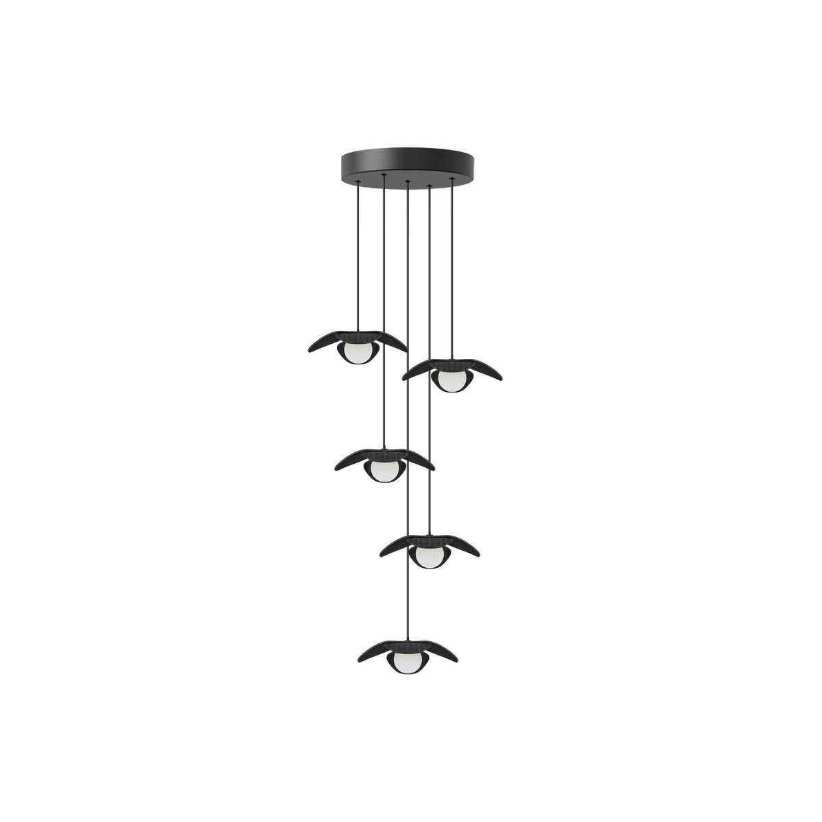 Forget Me Not Cluster 5 pendel med roset, sort egetræ • UMAGE - Copenhagenhomedesign