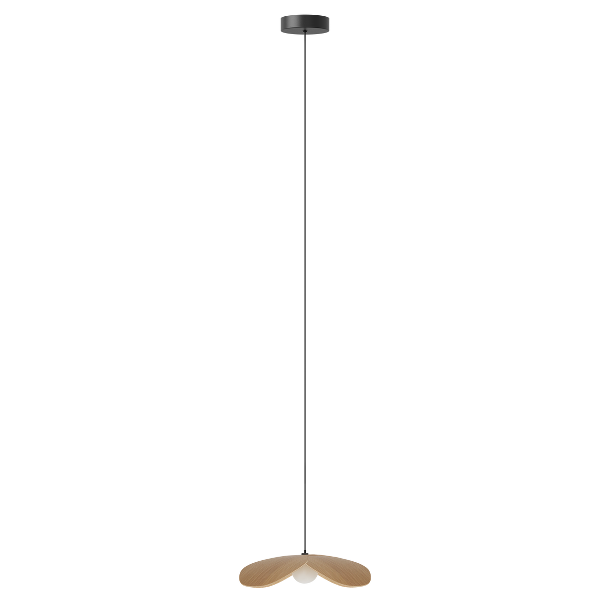 Forget Me Not pendel med roset, egetræ • UMAGE - Copenhagenhomedesign