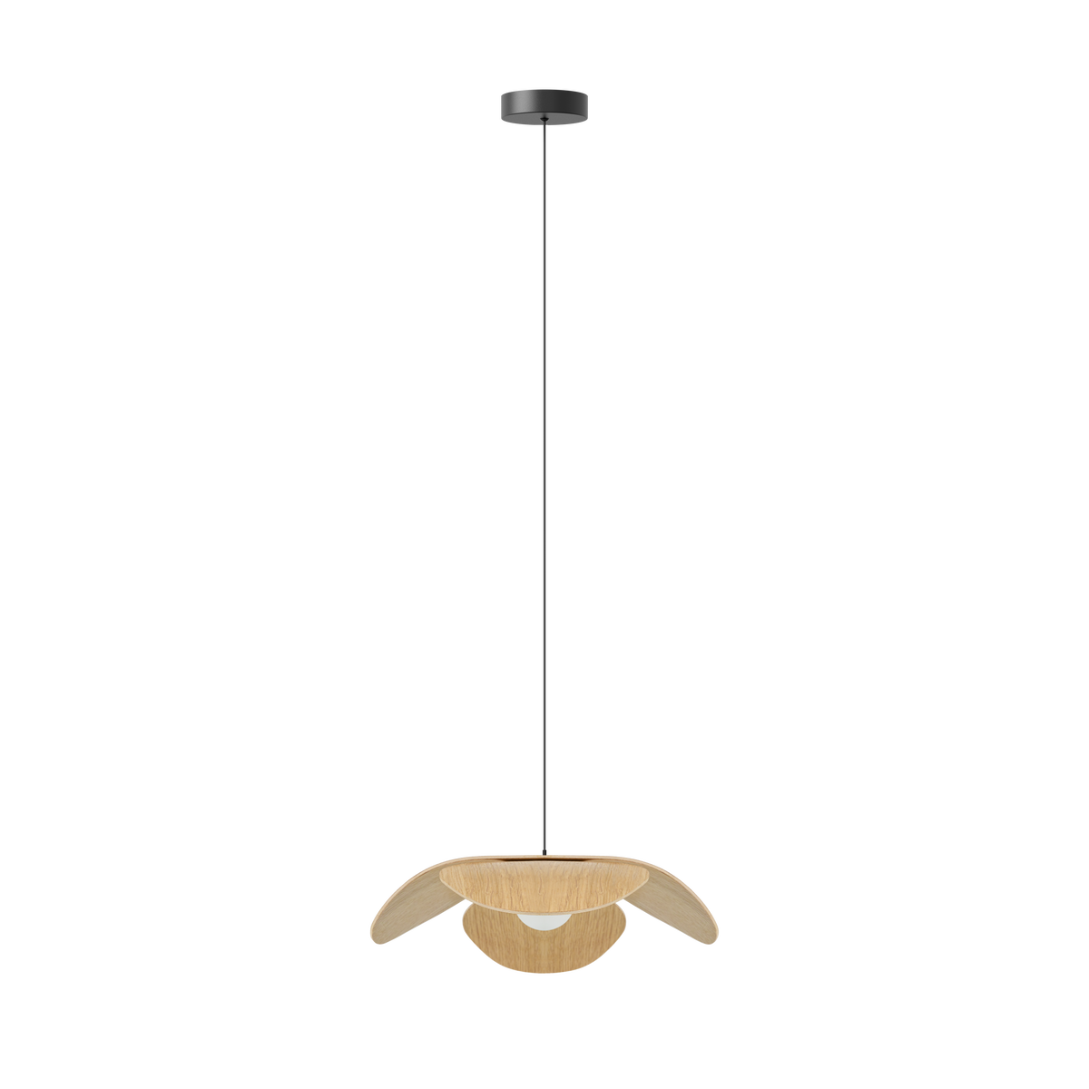 Forget Me Not pendel med roset, egetræ • UMAGE - Copenhagenhomedesign