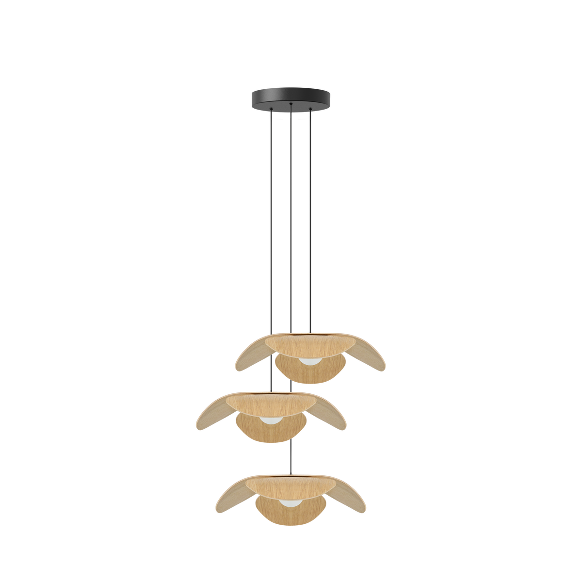 Forget Me Not Cluster 3 pendel med roset, egetræ • UMAGE - Copenhagenhomedesign