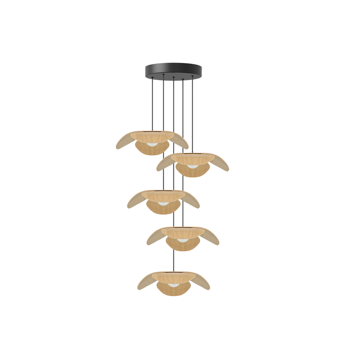 Forget Me Not Cluster 5 pendel med roset, egetræ • UMAGE - Copenhagenhomedesign
