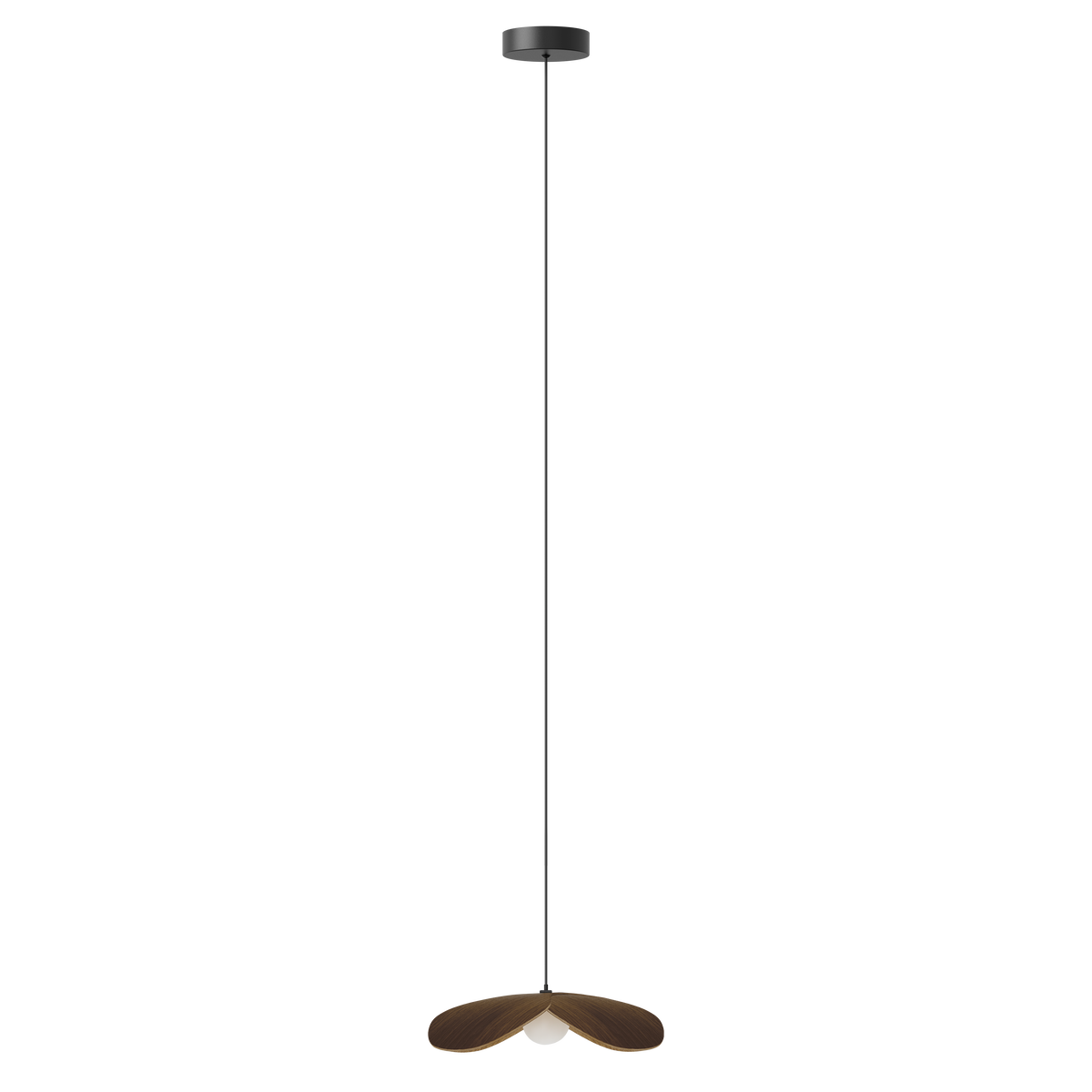 Forget Me Not pendel med roset, mørk egetræ • UMAGE - Copenhagenhomedesign