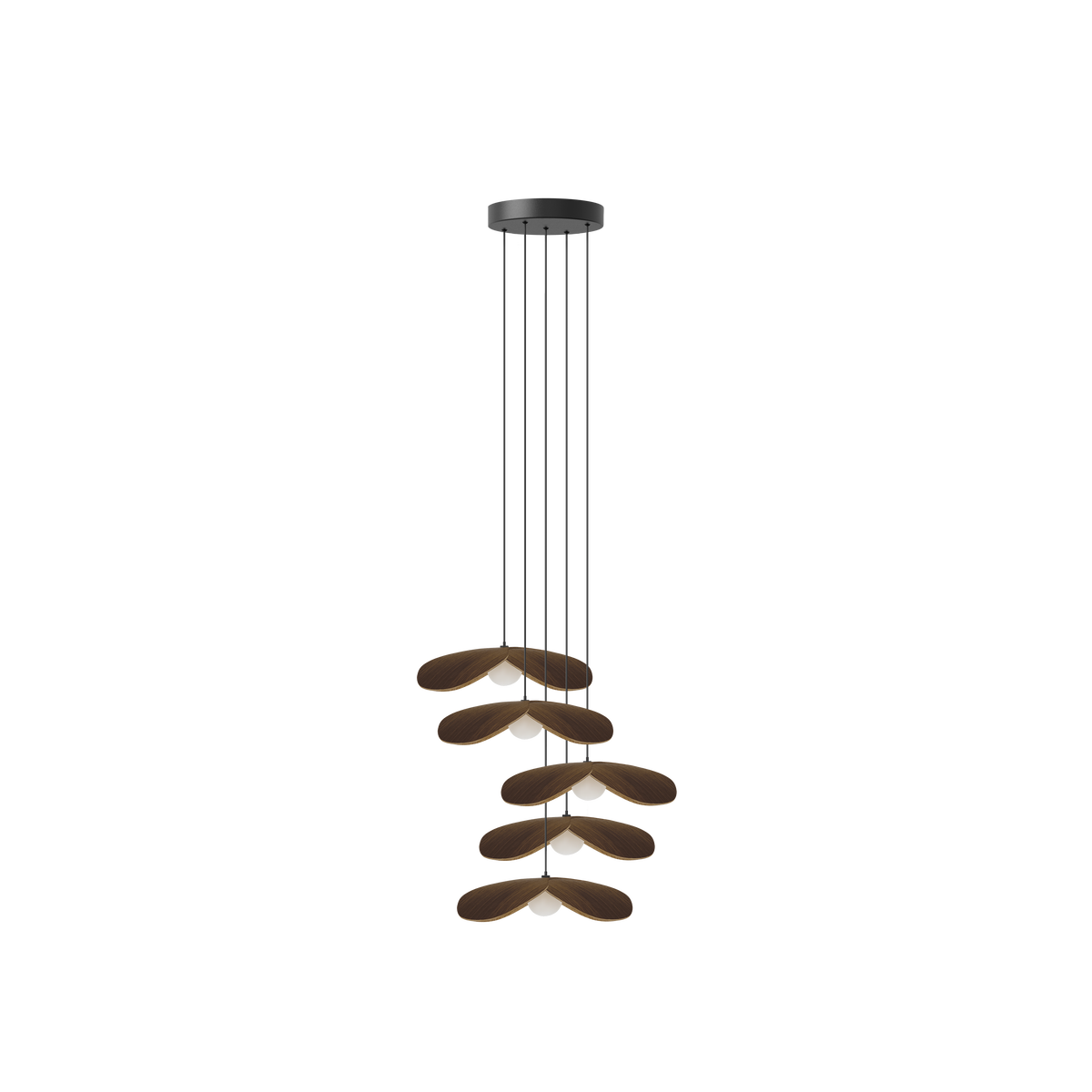 Forget Me Not Cluster 5 pendel med roset, mørk egetræ • UMAGE - Copenhagenhomedesign