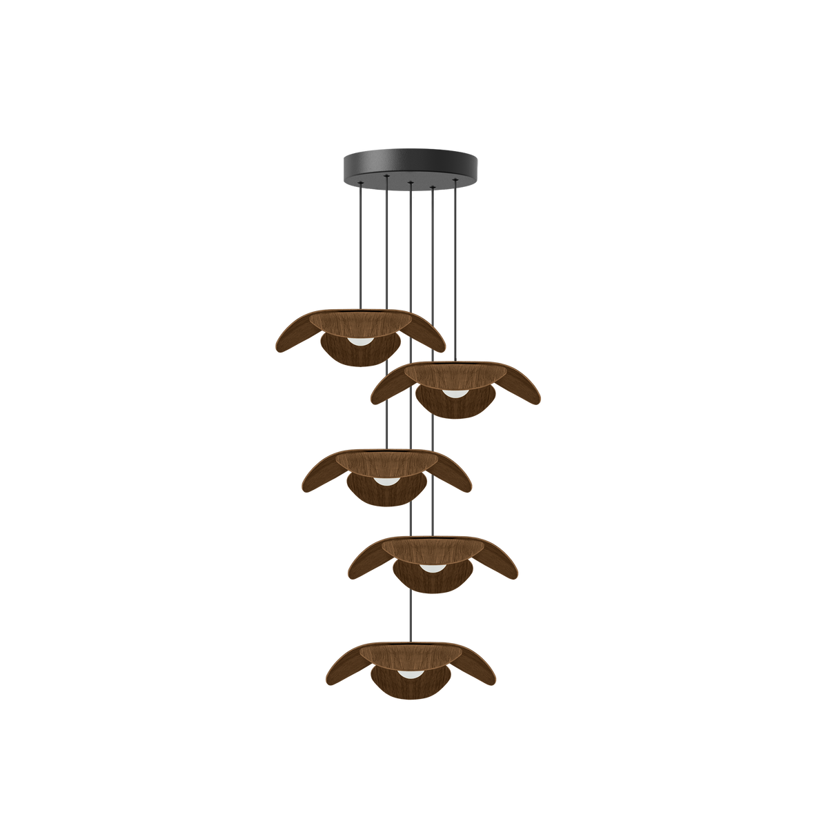 Forget Me Not Cluster 5 pendel med roset, mørk egetræ • UMAGE - Copenhagenhomedesign
