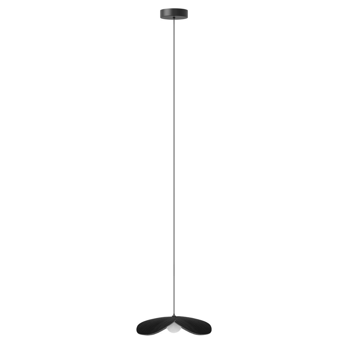 Forget Me Not pendel med roset, sort egetræ • UMAGE - Copenhagenhomedesign
