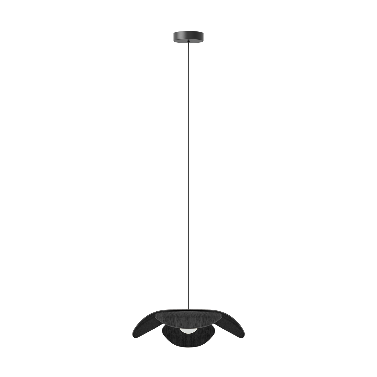 Forget Me Not pendel med roset, sort egetræ • UMAGE - Copenhagenhomedesign