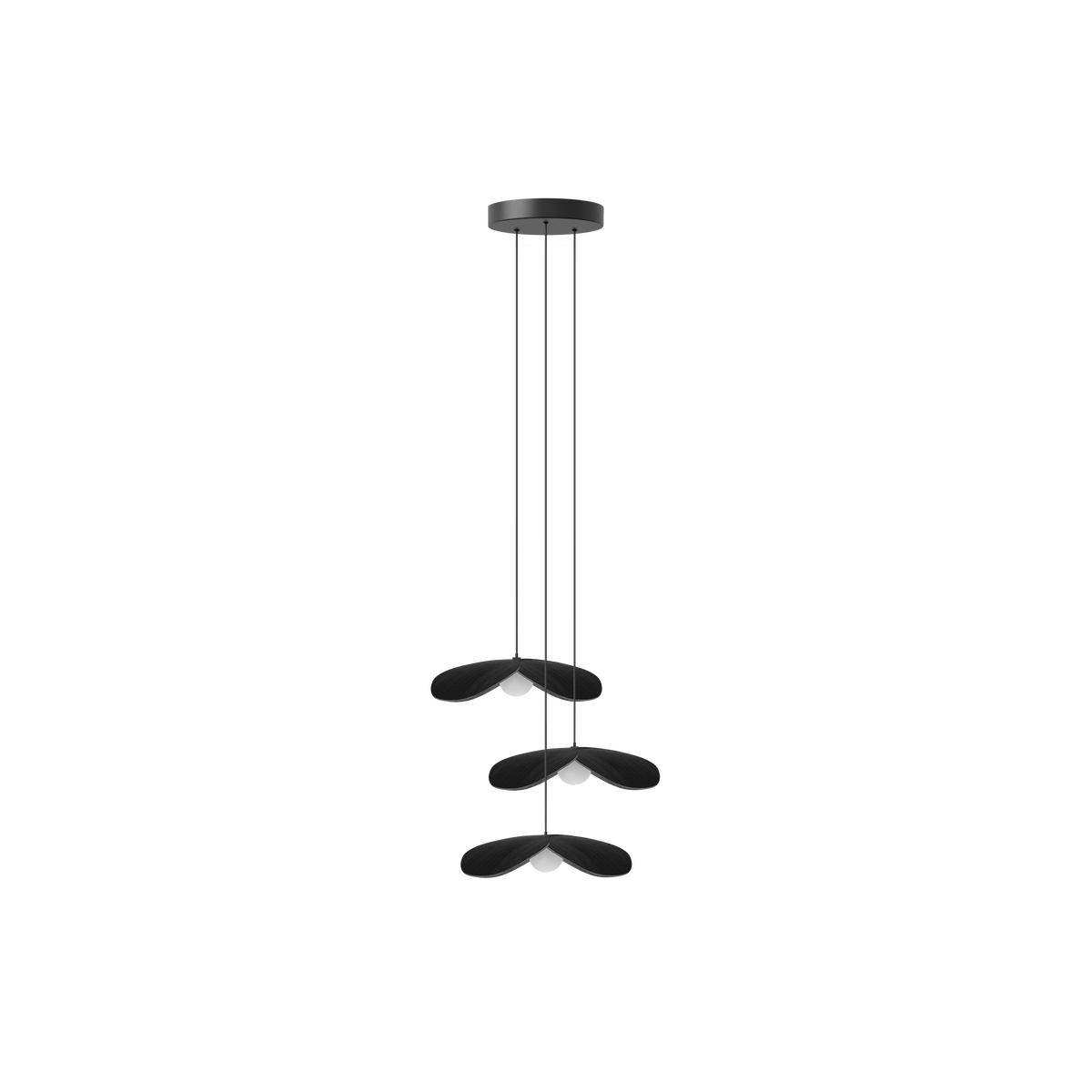 Forget Me Not Cluster 3 pendel med roset, sort egetræ • UMAGE - Copenhagenhomedesign