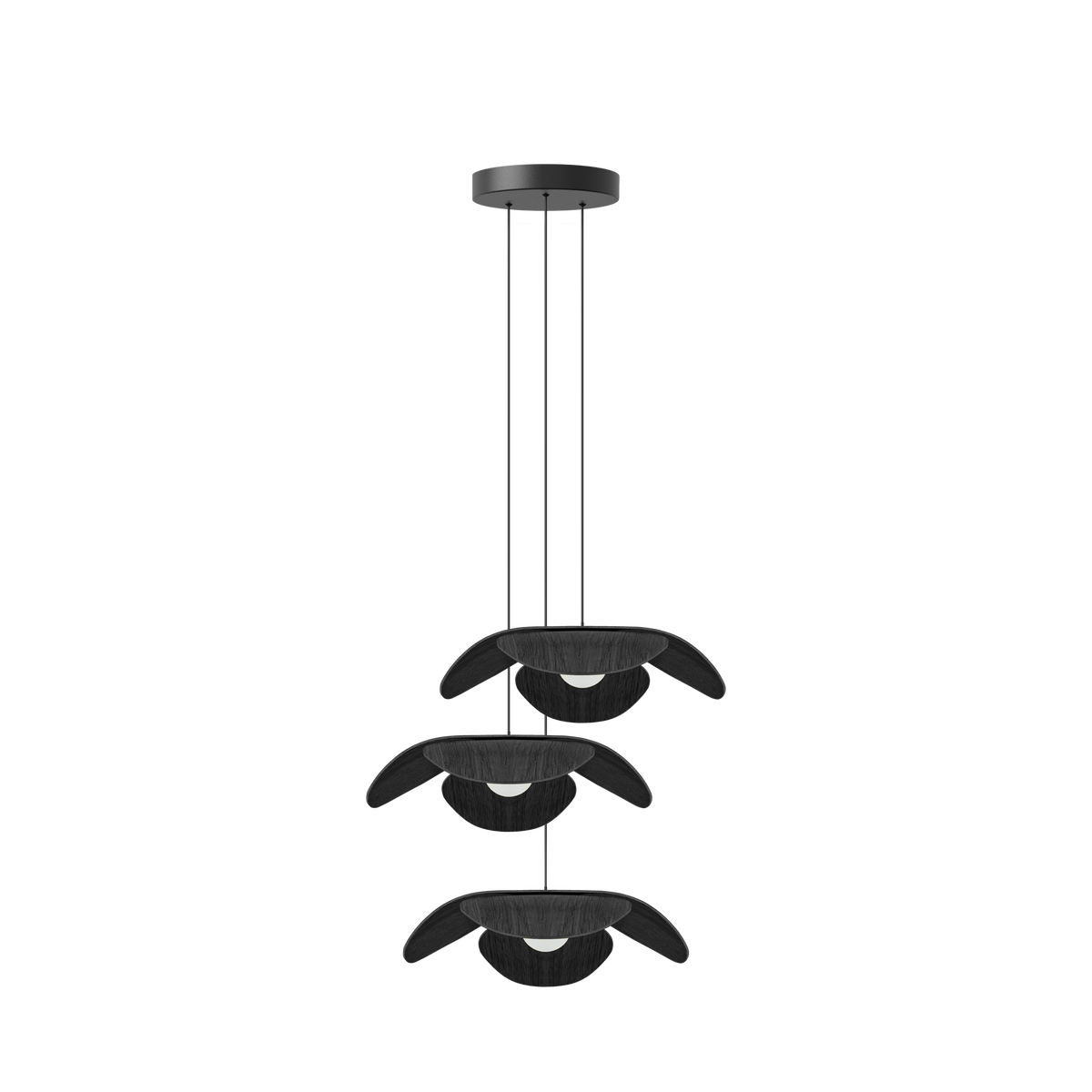 Forget Me Not Cluster 3 pendel med roset, sort egetræ • UMAGE - Copenhagenhomedesign