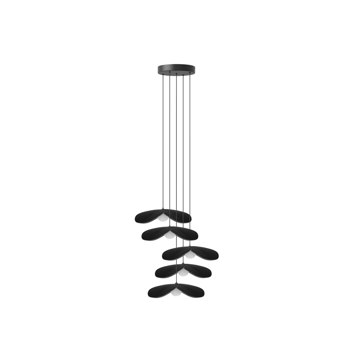 Forget Me Not Cluster 5 pendel med roset, sort egetræ • UMAGE - Copenhagenhomedesign