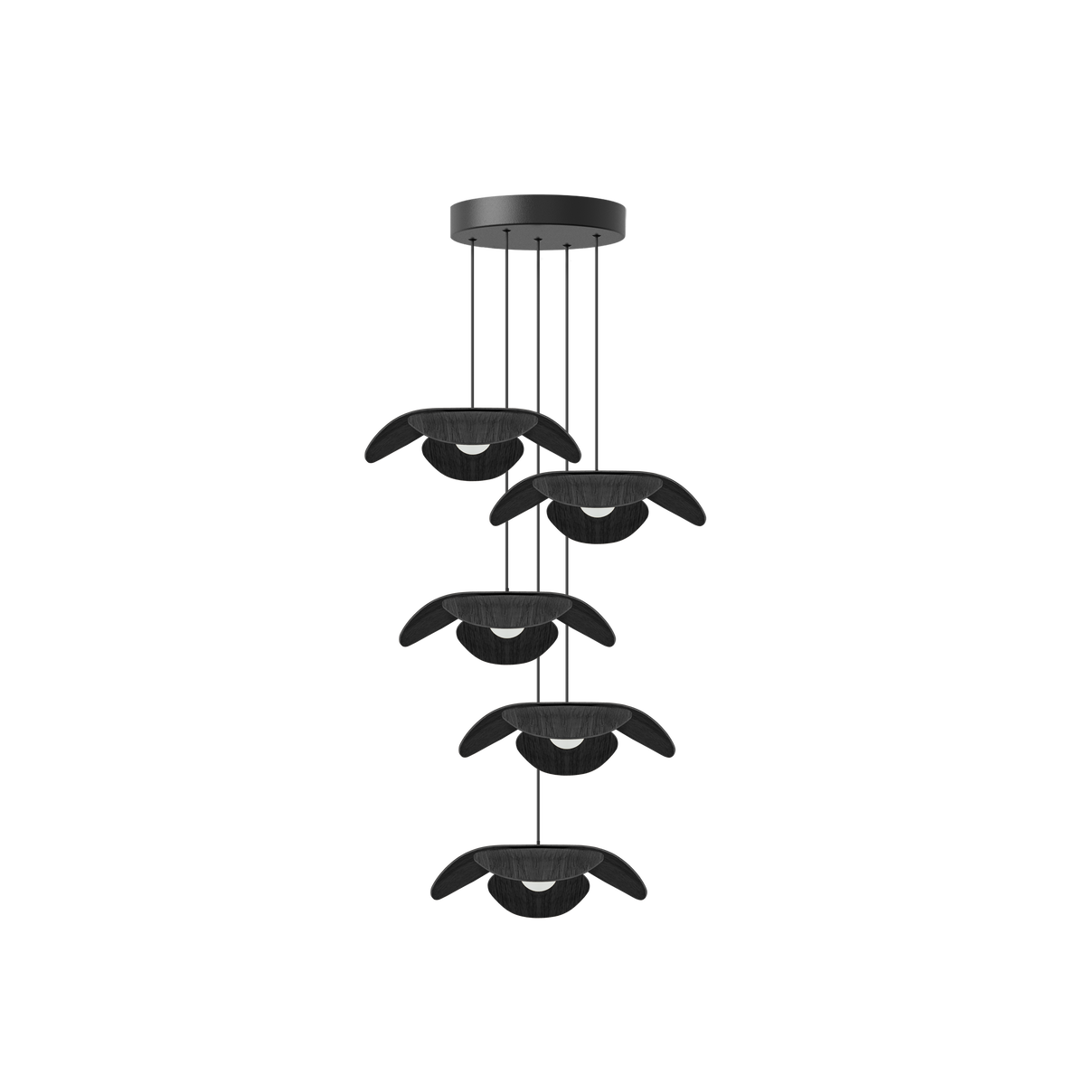 Forget Me Not Cluster 5 pendel med roset, sort egetræ • UMAGE - Copenhagenhomedesign