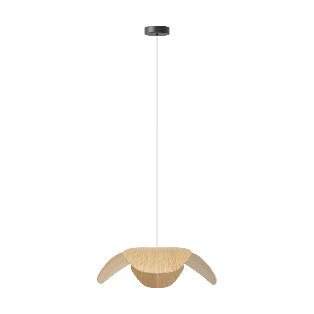 Forget Me Not pendel med roset, egetræ • UMAGE - Copenhagenhomedesign