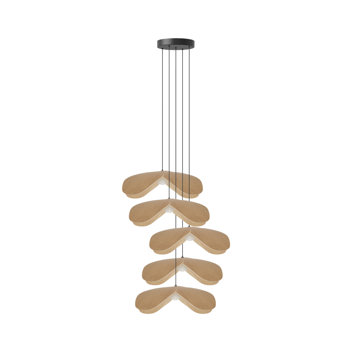 Forget Me Not Cluster 5 pendel med roset, egetræ • UMAGE - Copenhagenhomedesign