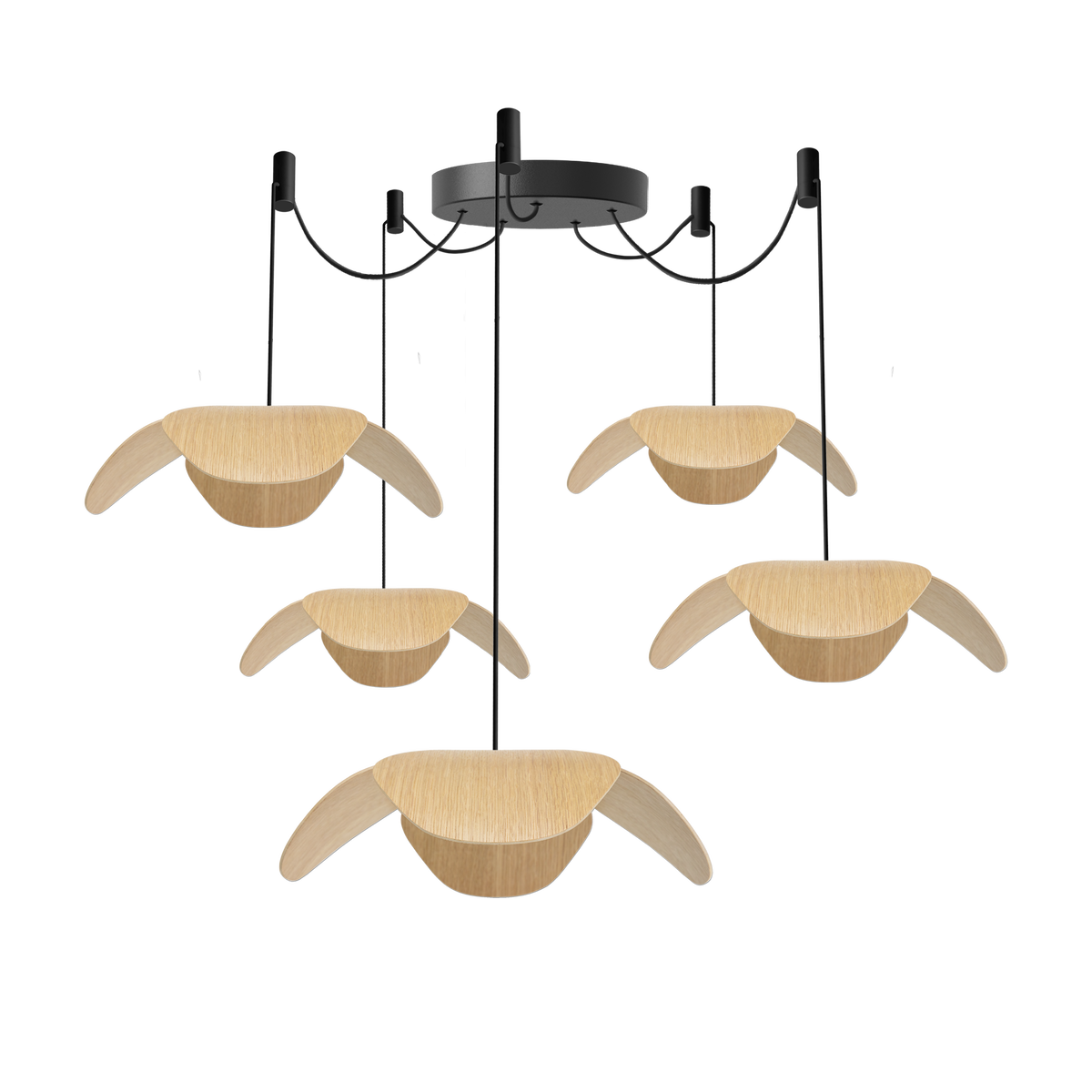 Forget Me Not Cluster 5 pendel med roset, egetræ • UMAGE - Copenhagenhomedesign