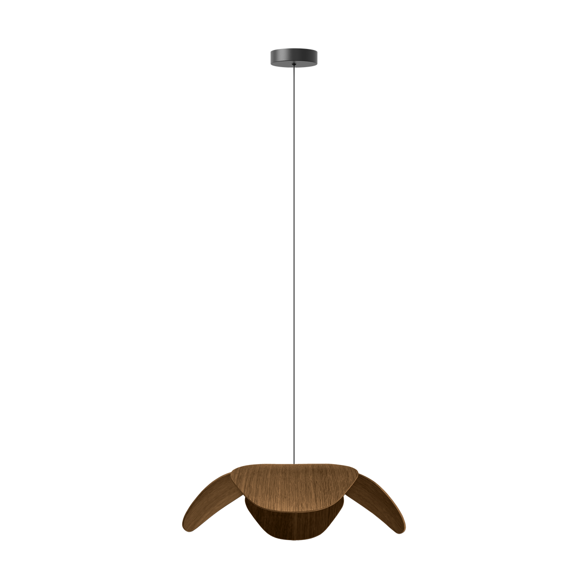 Forget Me Not pendel med roset, mørk egetræ • UMAGE - Copenhagenhomedesign