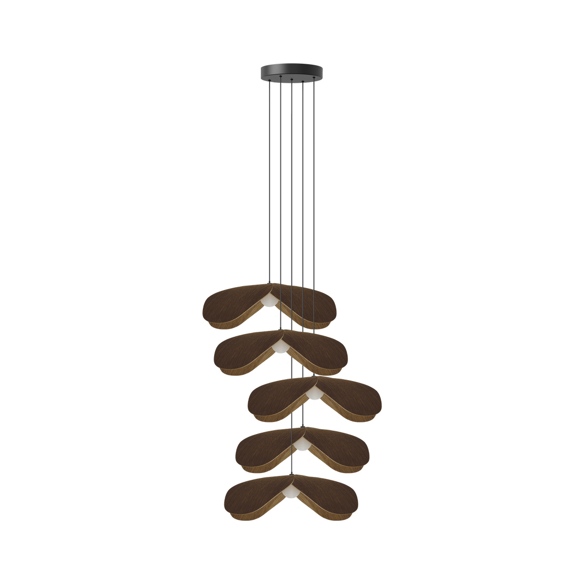 Forget Me Not Cluster 5 pendel med roset, mørk egetræ • UMAGE - Copenhagenhomedesign