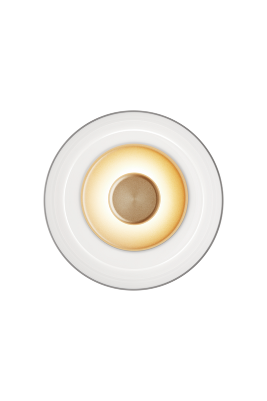 Blossi Wall væglampe, nordic gold / opal • NUURA