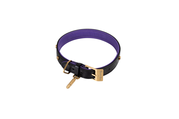 Hundehalsbånd i sort og lilla læder med detaljer i messing, på hvid baggrund.