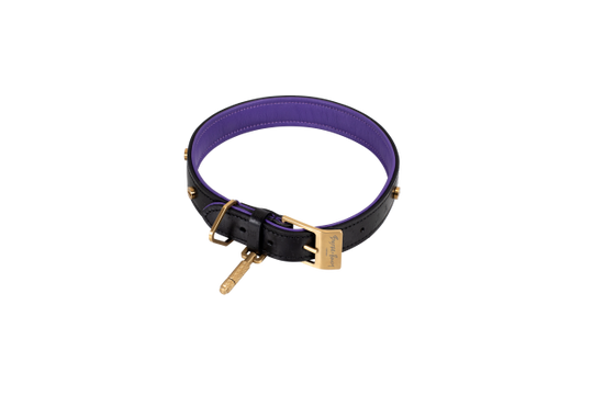 Hundehalsbånd, sort/lilla og messing • Buster + Punch
