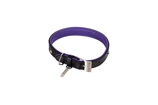 Hundehalsbånd, sort/lilla og stål • Buster + Punch