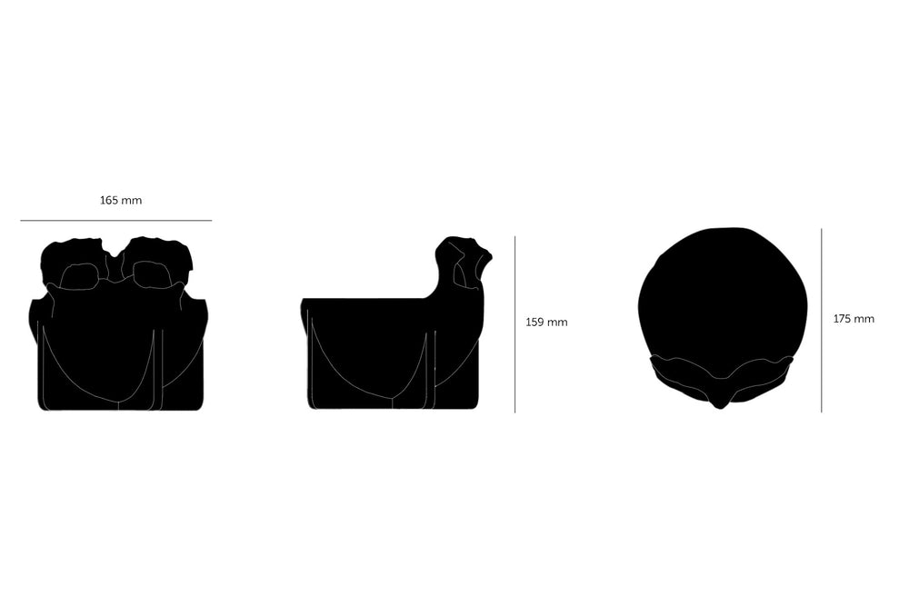 Travis Barker / Buster + Punch kranie stål i messing med indgraveret logo. Her ses produkt tegningen inkl. mål.